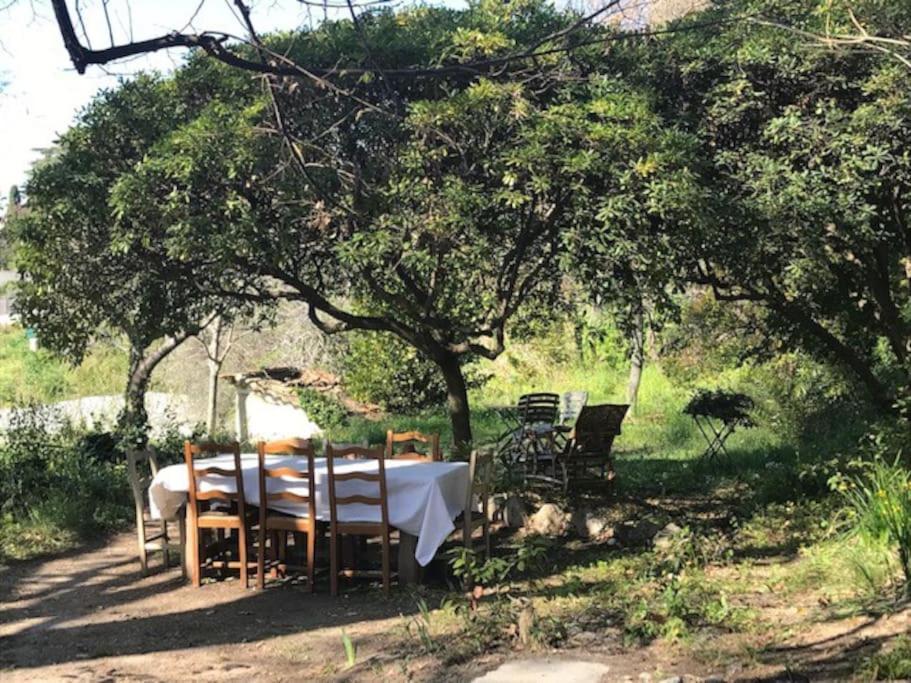 Maison De Charme Dans Les Collines Nicoises Hébergement de vacances